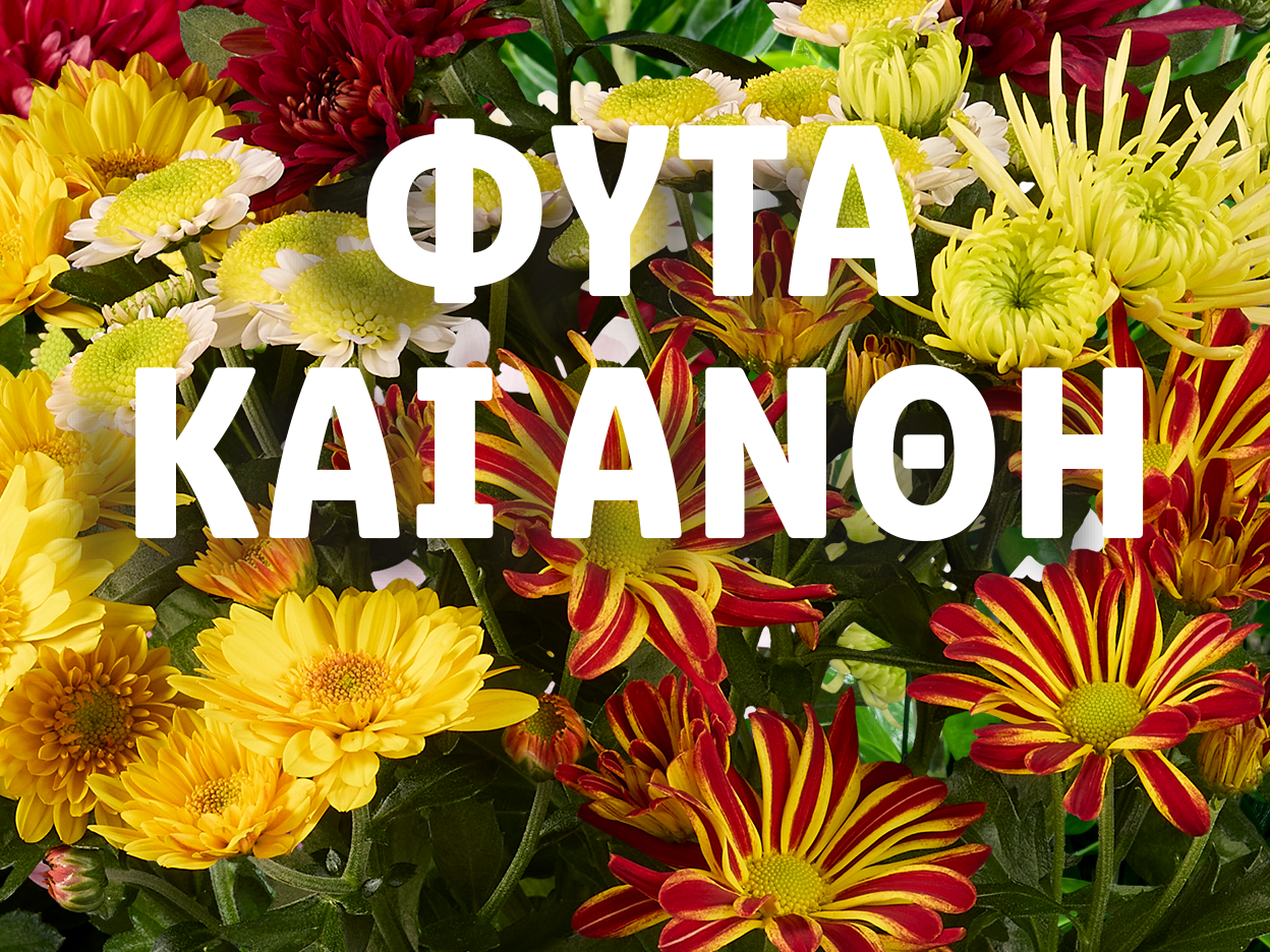 Λουλούδια με κείμενο «ΦΥΤΑ ΚΑΙ ΑΝΘΗ»