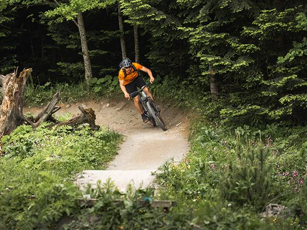 Ορειβάτης με mountain bike σε δασικό μονοπάτι.