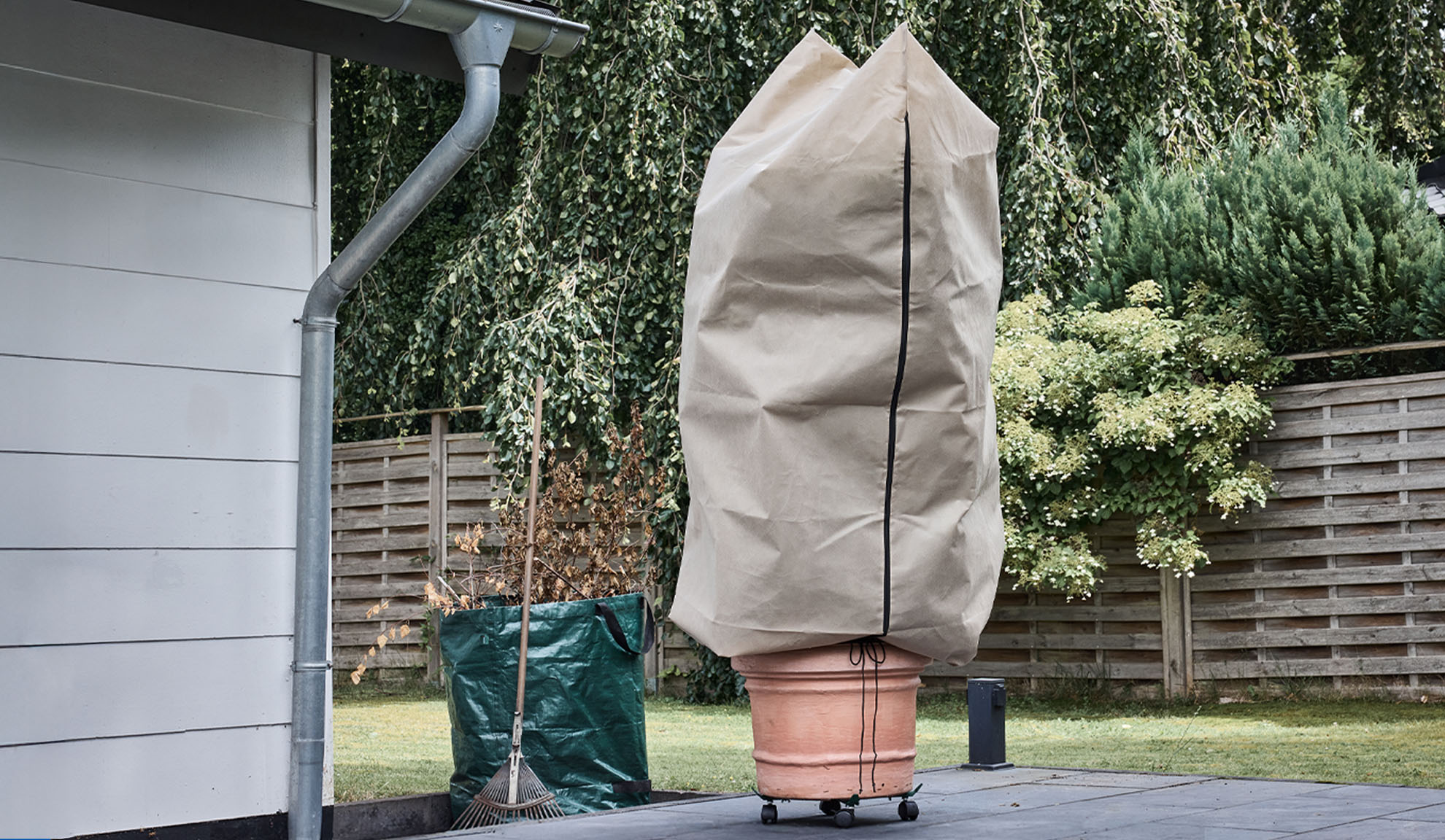 Κάλυμμα φυτού σε γλάστρα σε βεράντα με υδρορροή και τσουγκράνα.